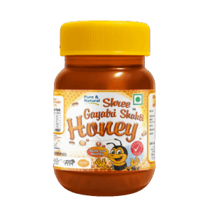 Shri Gayatri Shakti - 50gm