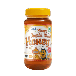 Shri Gayatri Shakti - 500gm